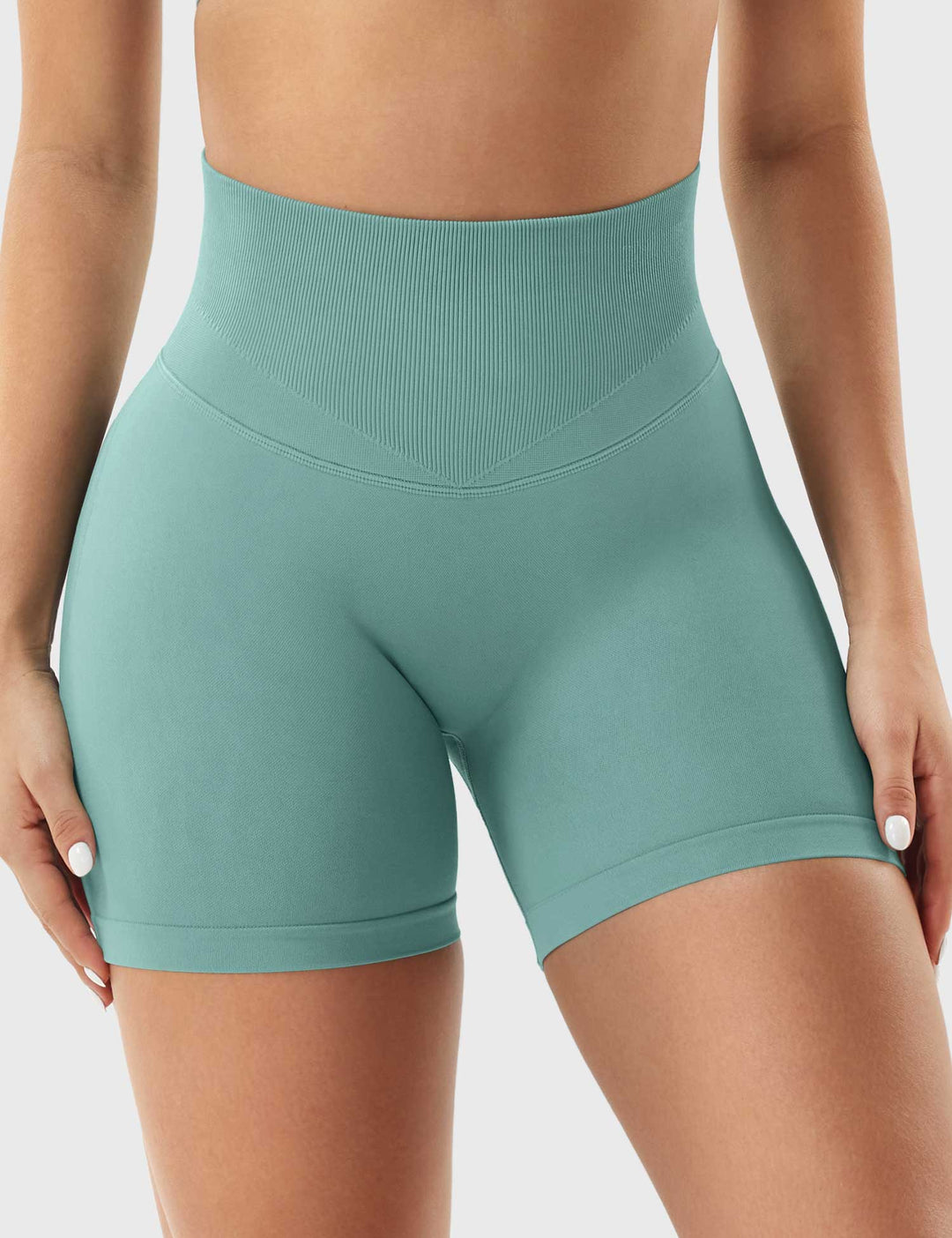 Patrica 4.5" Seamless Shorts