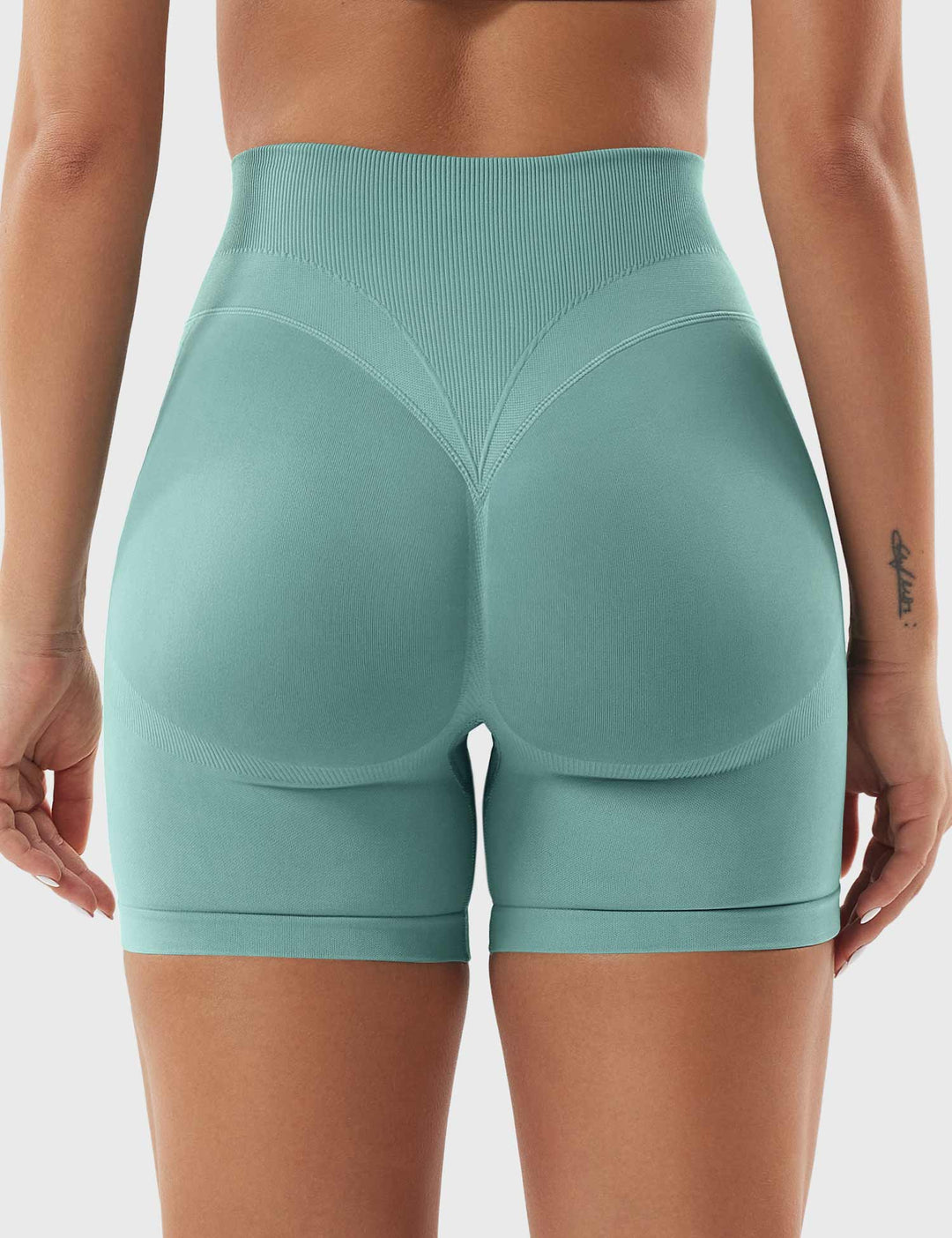 Patrica 4.5" Seamless Shorts