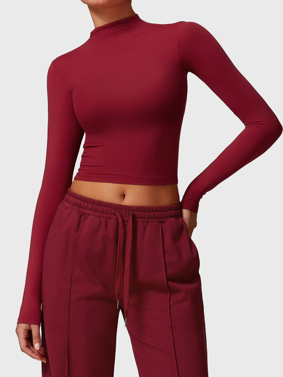 Turtle Neck Long Sleeve Crop Top